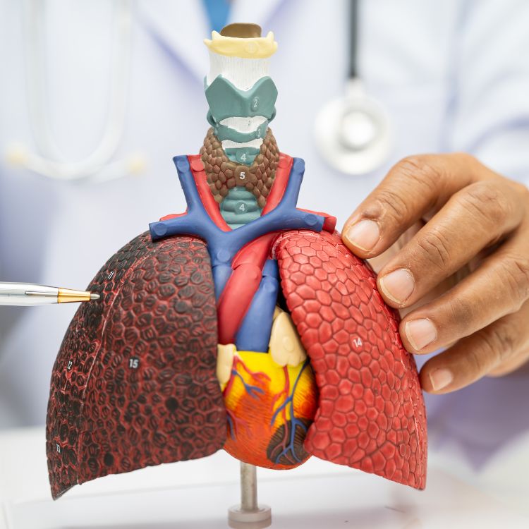 vaksin pneumococcal